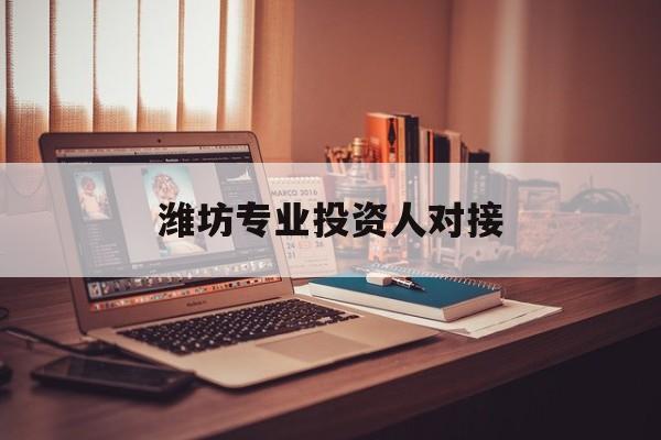 昆玉市潍坊专业投资人对接(潍坊专业投资人对接中心)