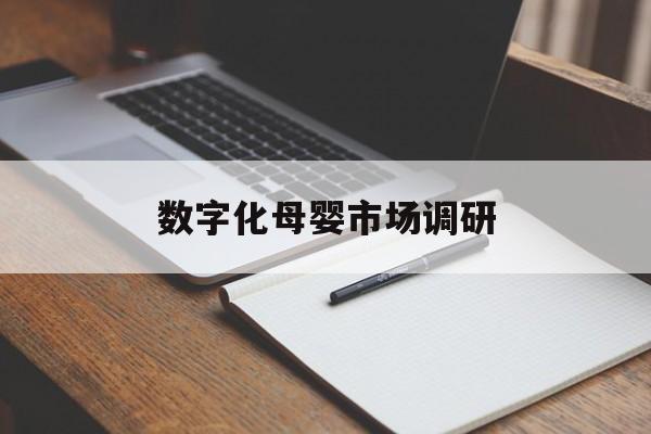 昆玉市数字化母婴市场调研(数字化母婴市场调研报告)